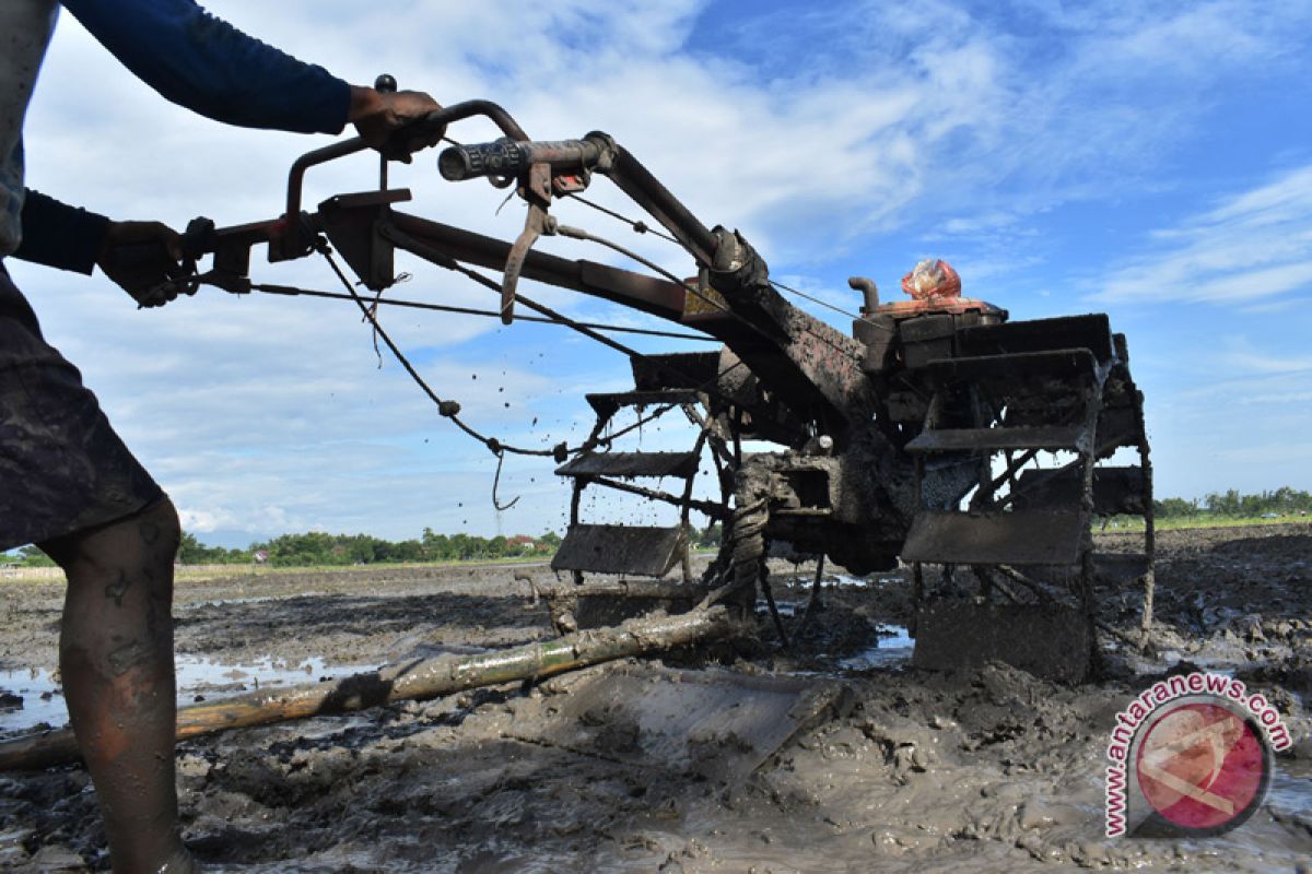 50 traktor dibagikan ke petani di Kotawaringin Timur