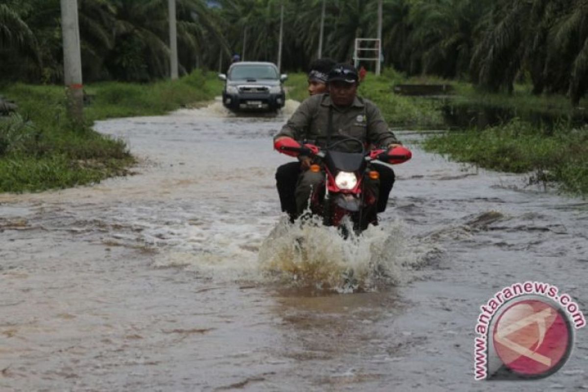 13.489 warga terdampak banjir di Aceh Selatan