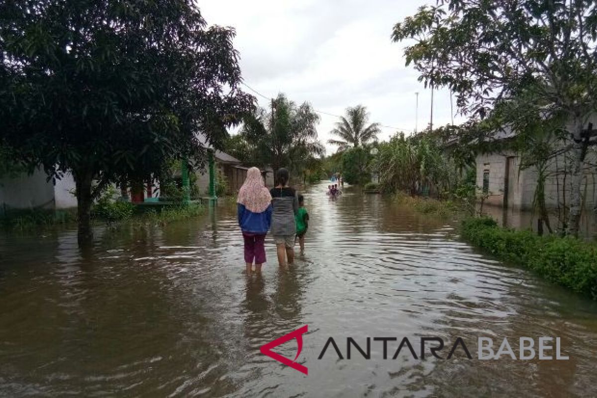 Korban banjir Kayu Besi diminta waspadai buaya