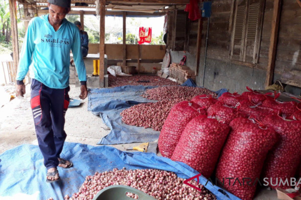 Tangerang Akui Lahan Pertanian Produktif Pantura Berkurang