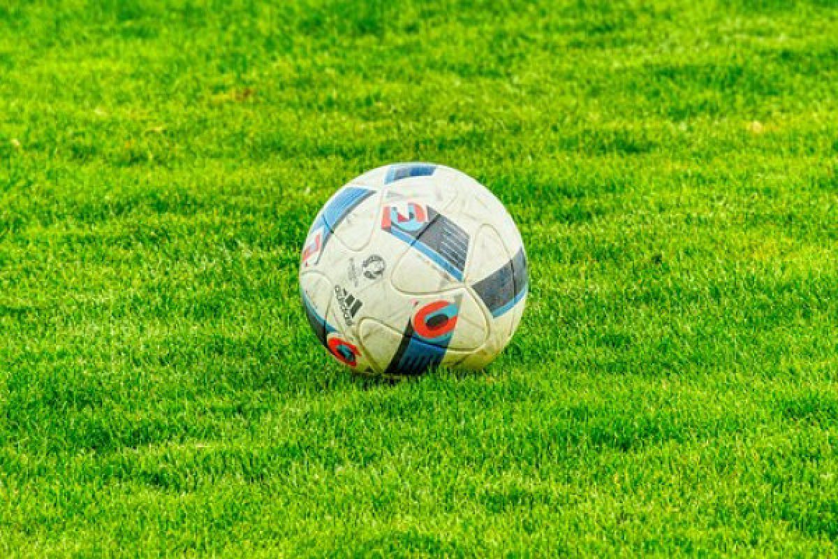 Ruud Gullit : Sepak bola Belanda dapat hancur karena penggunaan rumput plastik