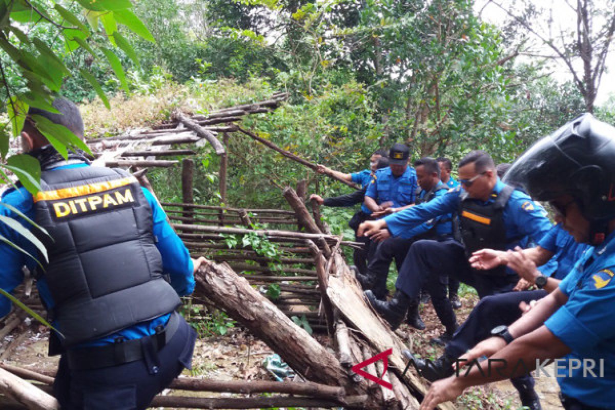 Tidak miliki pekerjaan masyarakat nekad berkebun di KKOP