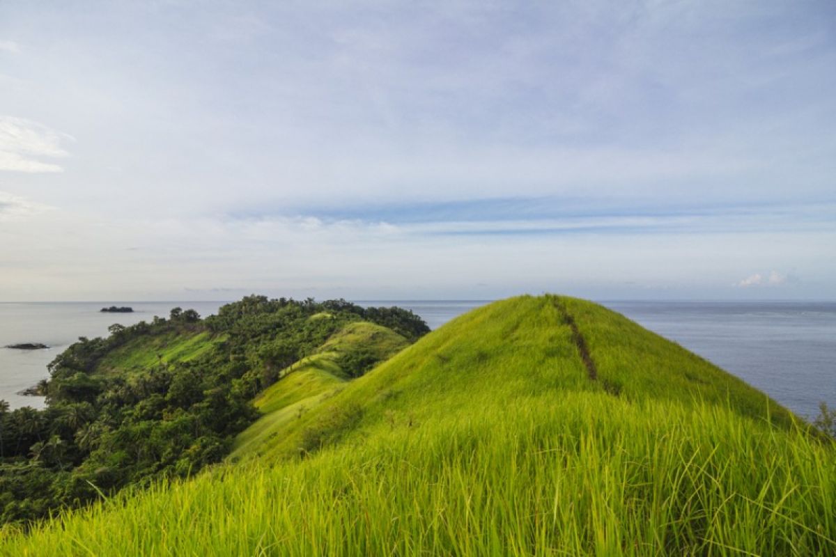 Hamparan Ilalang Pulau Diyonumo Menarik Minat Warga