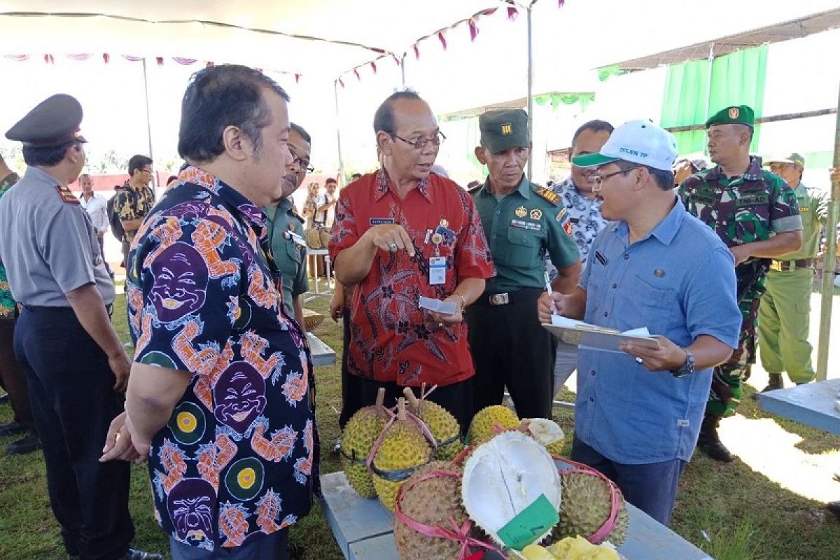 Festival Durian Wediasin diharapkan angkat agrowisata Wonosobo