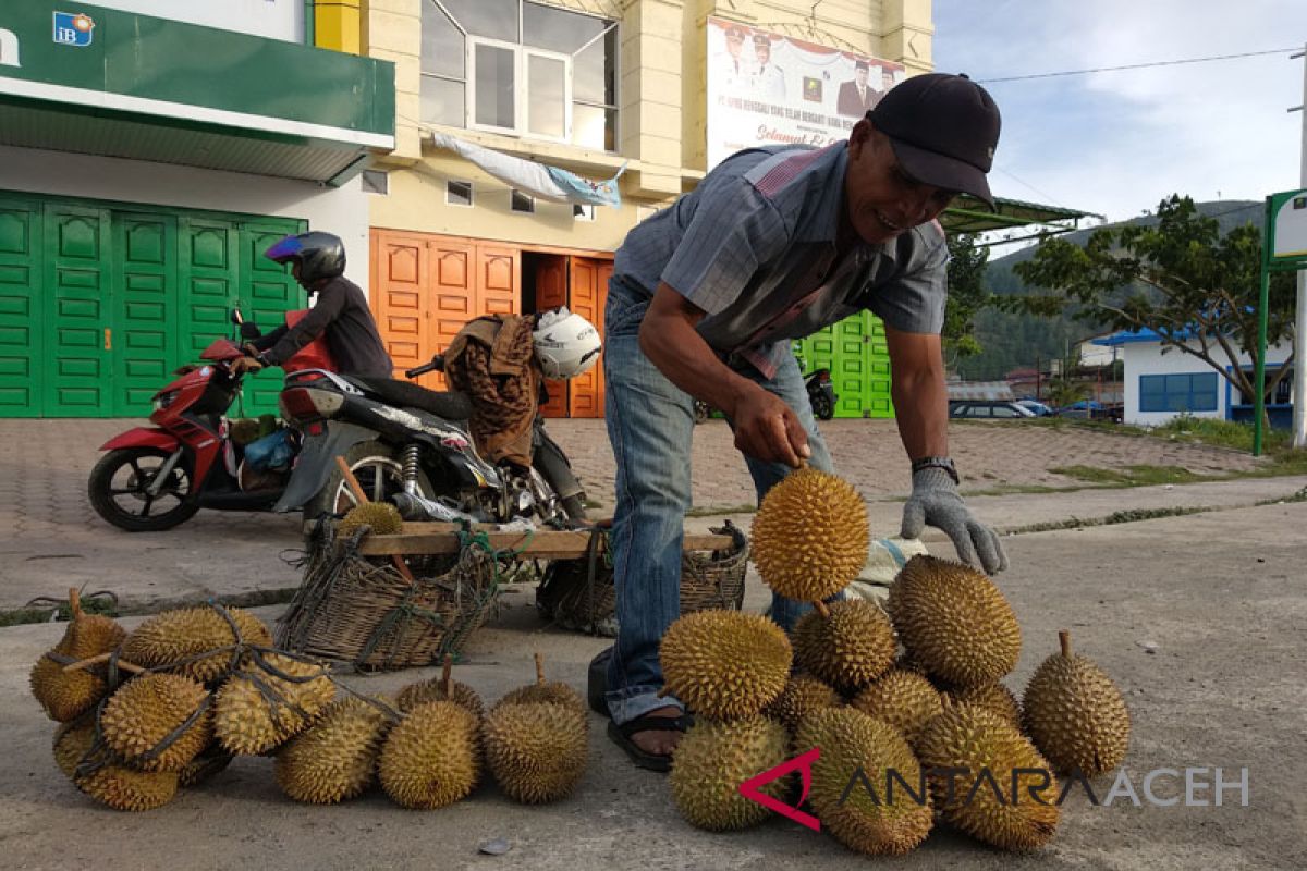 Meulaboh jadi pasar durian lokal