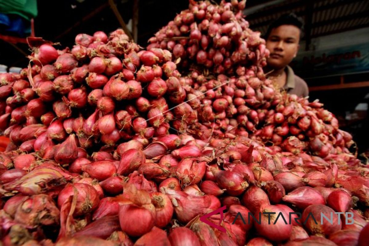 Petani di Bima Keluhkan Anjloknya Harga Bawang Merah