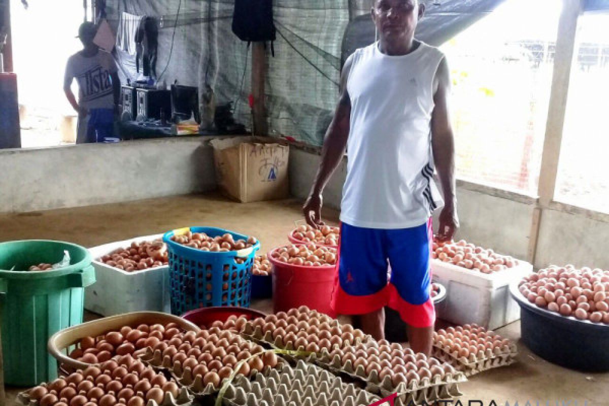 Disperindag Maluku Tengah awasi stok telur