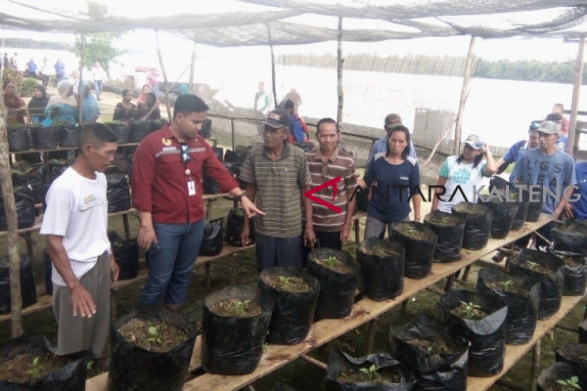 Asa Gunandi, ingin sukses berkebun lombok dan terong