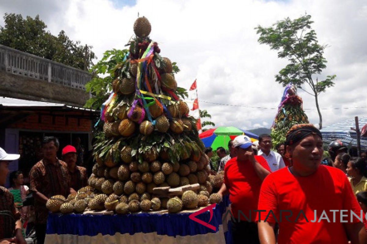 Festival durian sarana promosi wisata Desa Ngropoh