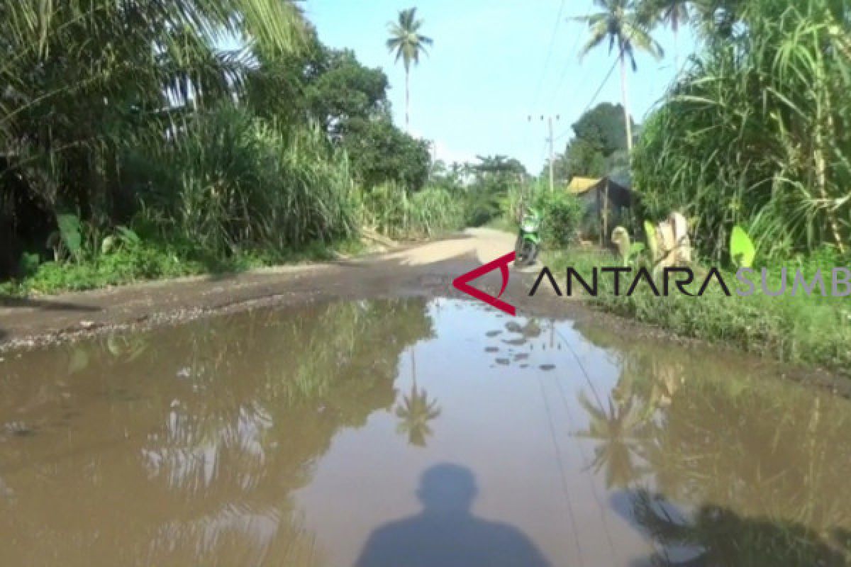 Rusak parah masyarakat Rimbo Canduang harapkan jalan diperbaiki