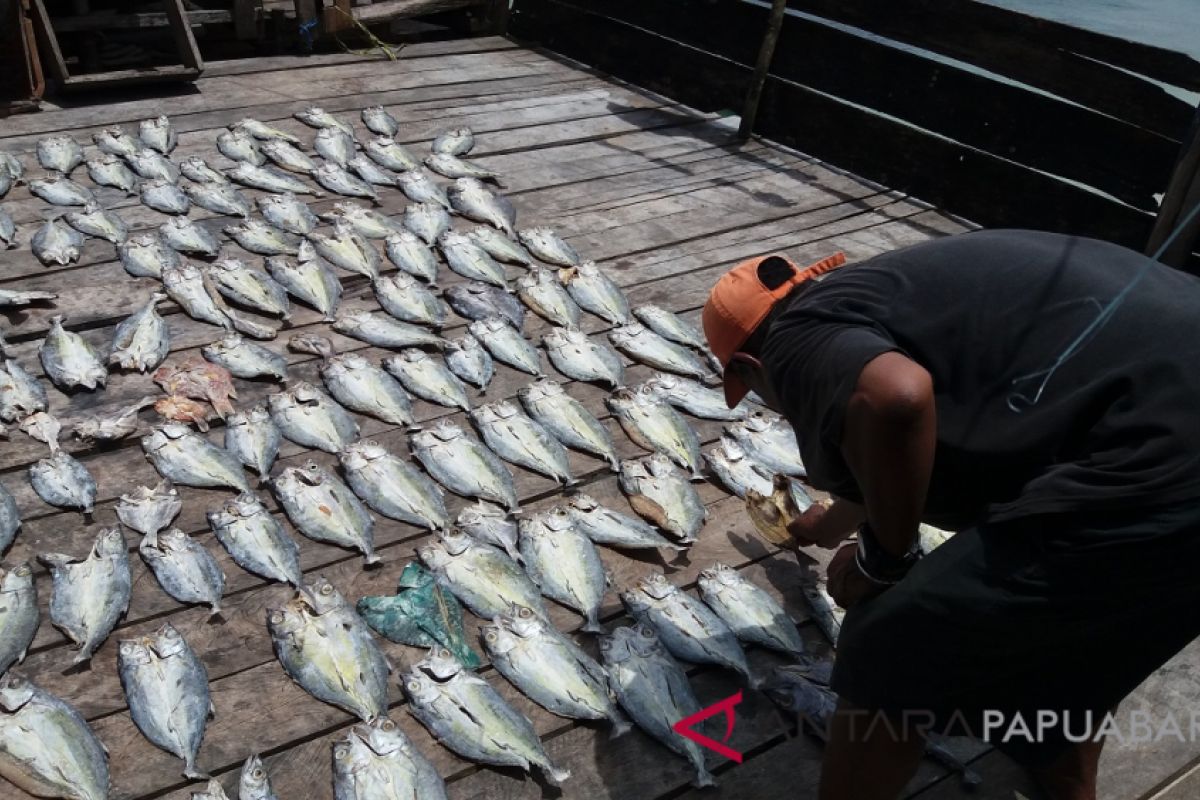 Nelayan Kofiau Raja Ampat Produksi Ikan Asin