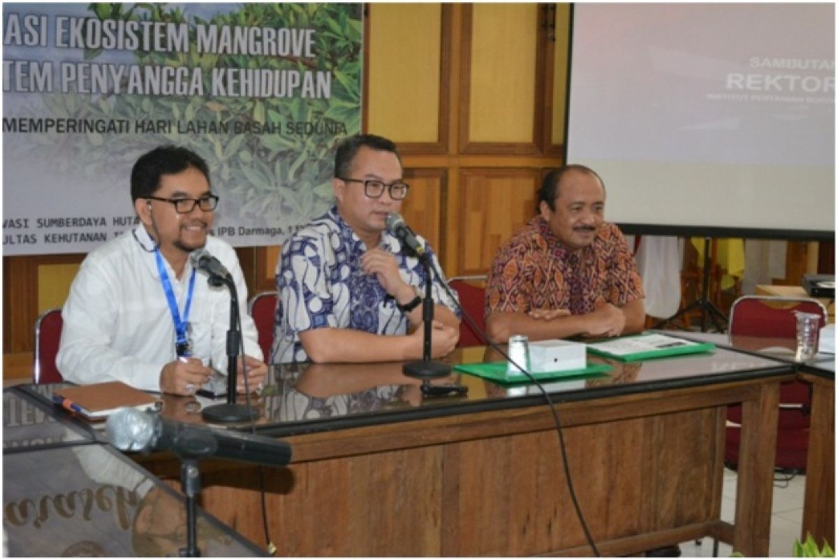 Rektor tantang IPB jadi etalase mangrove berbasis ekowisata