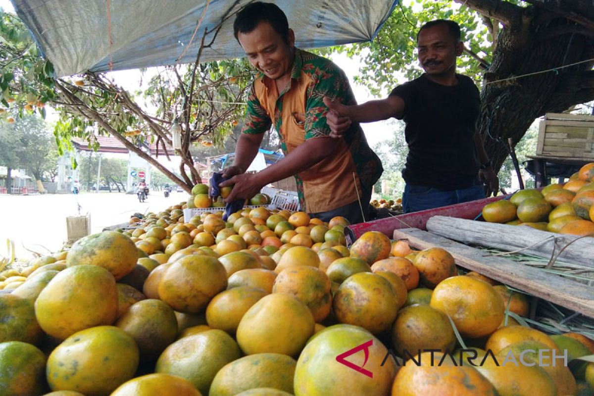 Permintaan jeruk tinggi di Lhokseumawe