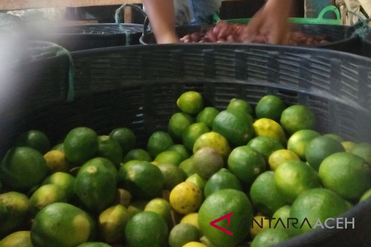 Pedagang kewalahan penuhi permintaan jeruk nipis