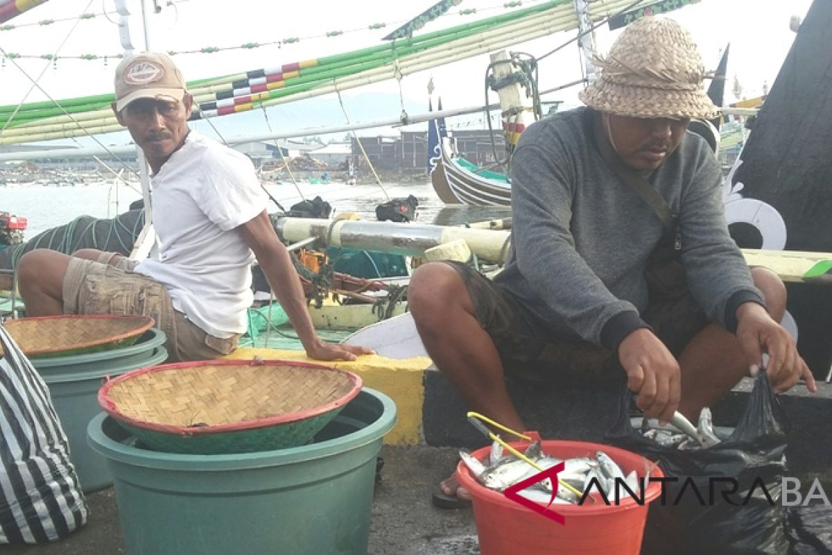 Gianyar targetkan konsumsi ikan 30 kg/kapita/tahun