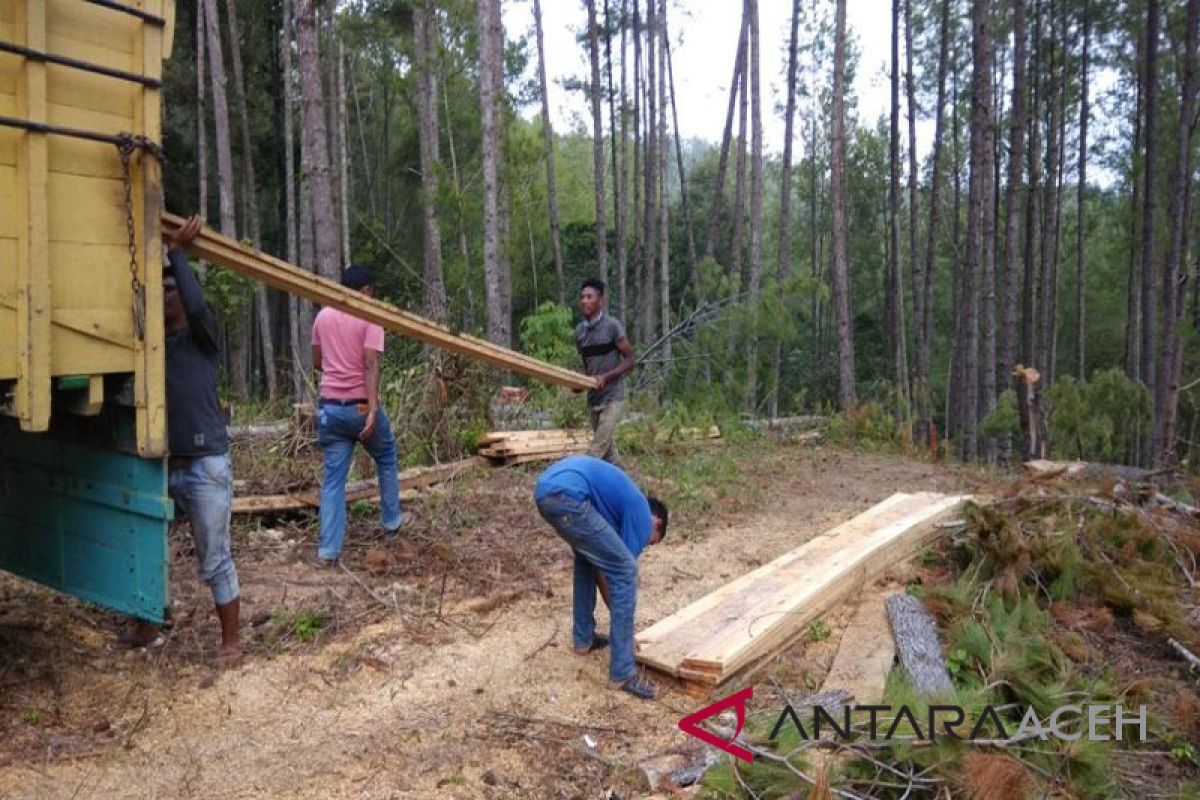 Lima pelaku ilegal loging ditangkap di Bener Meriah