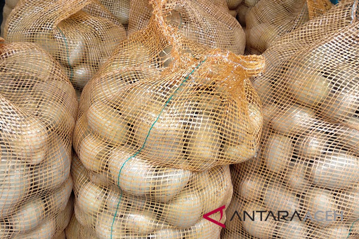 Permintaan kentang Aceh Tengah capai tiga ton/hari