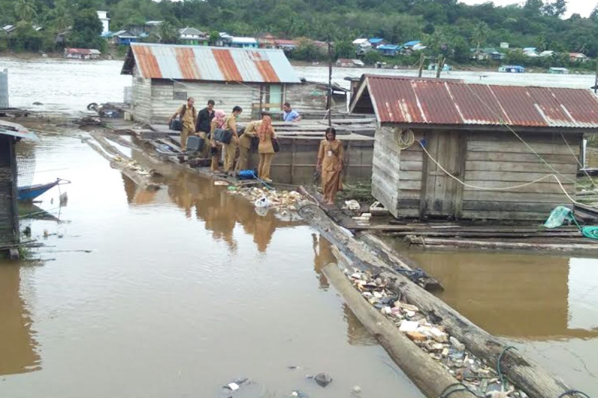 Bibit ikan keramba warga di Sungai Barito mati mendadak, kenapa ya?