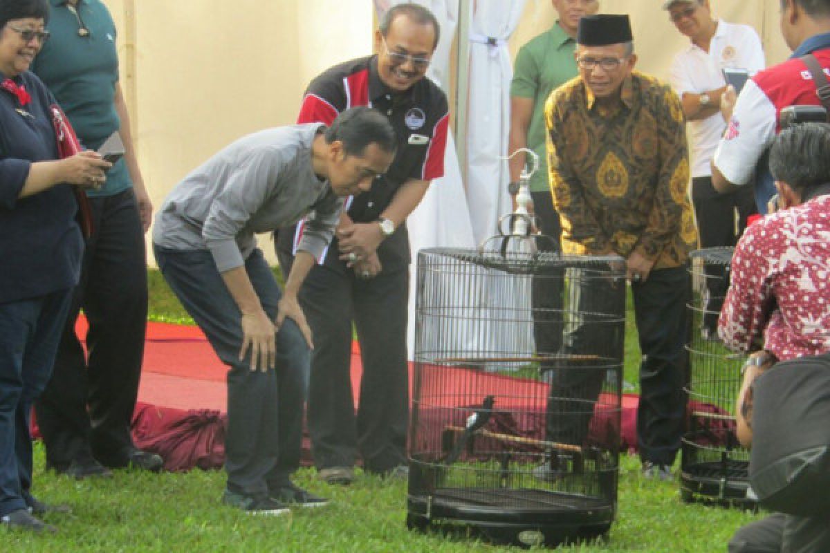 Presiden Jokowi berkumpul dengan kicaumania di Kebun Raya Bogor
