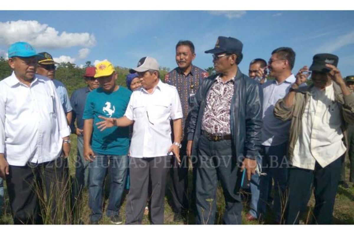 Sulbar siapkan lahan 2.000 hektare pengembangan sapi