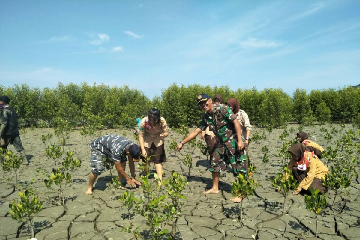 Lantamal XII Pontianak dan Pramuka tanam pohon mangrove