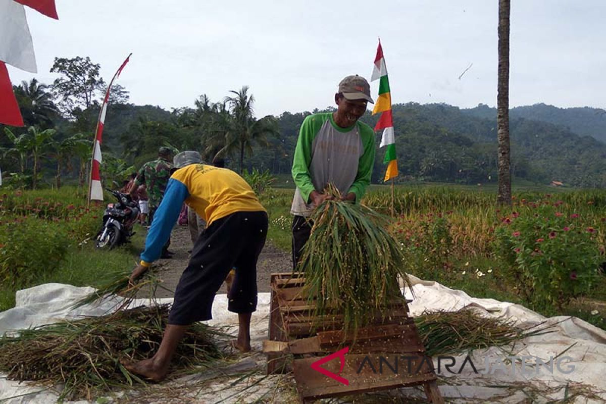 Antisipasi anjloknya harga, semua pihak diminta dukung serap gabah petani