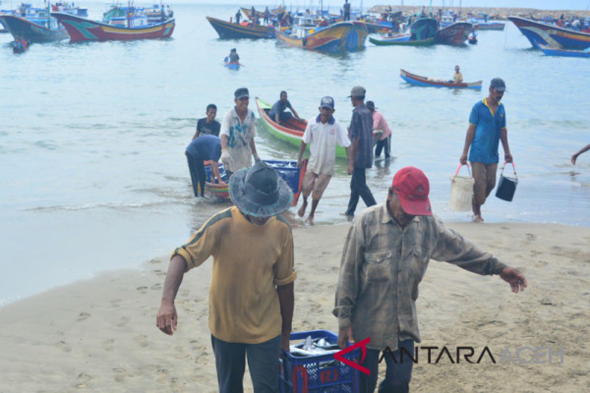 Pasokan ikan segar di pasar Meulaboh kurang