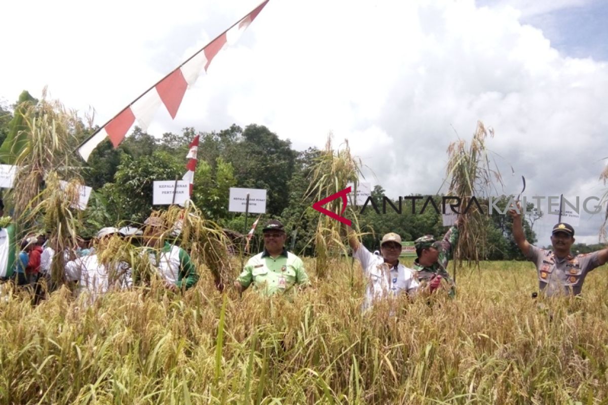 Petani diminta manfaatkan alsintan secara optimal