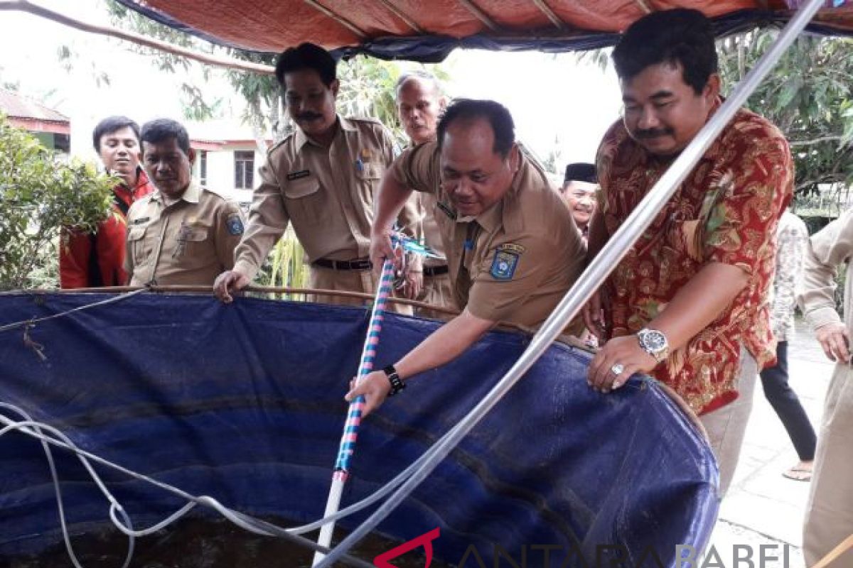 Bangka Tengah akan bangun 1.000 kolam bioflok