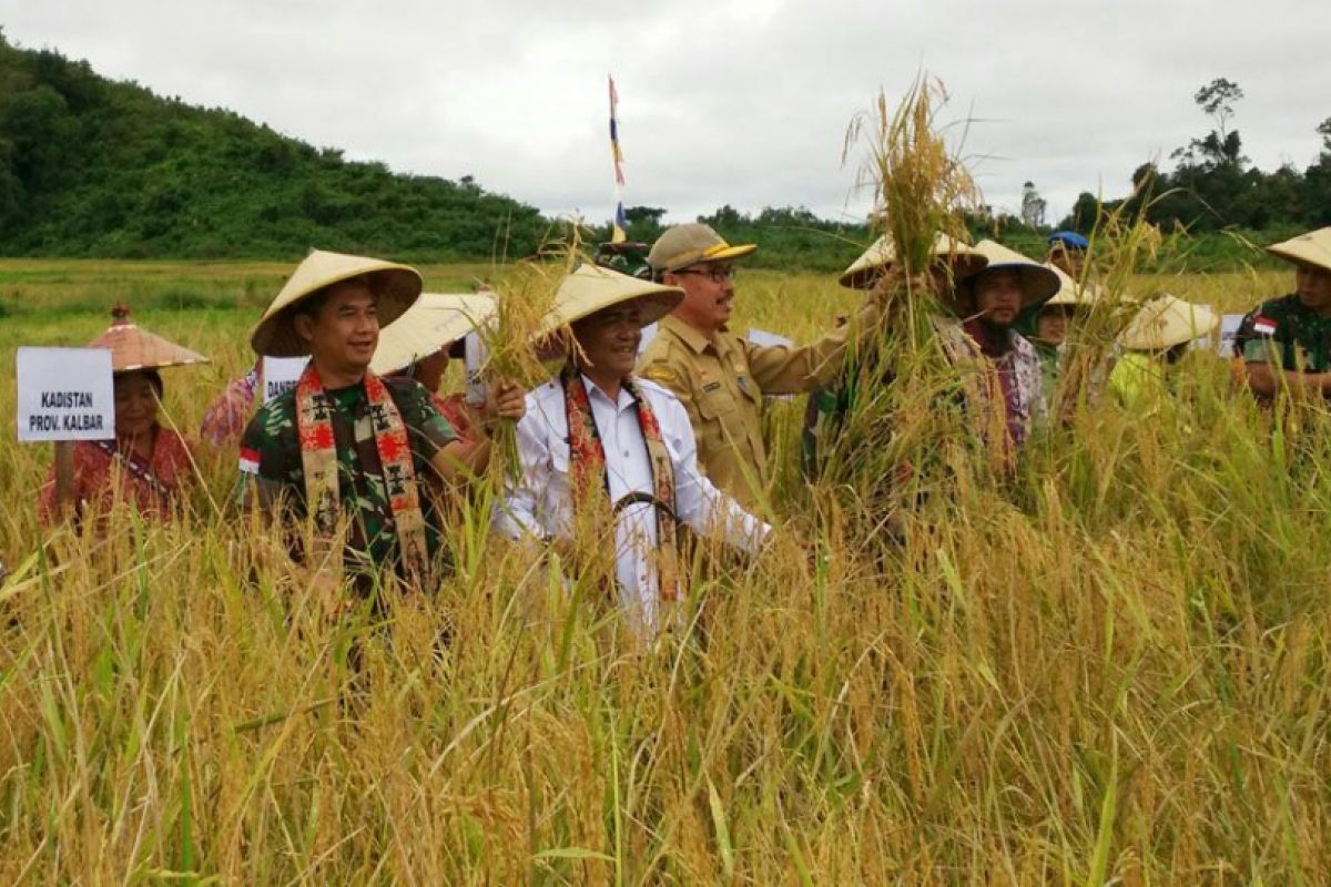 Produksi pangan Sanggau bagian strategi pertahanan negara