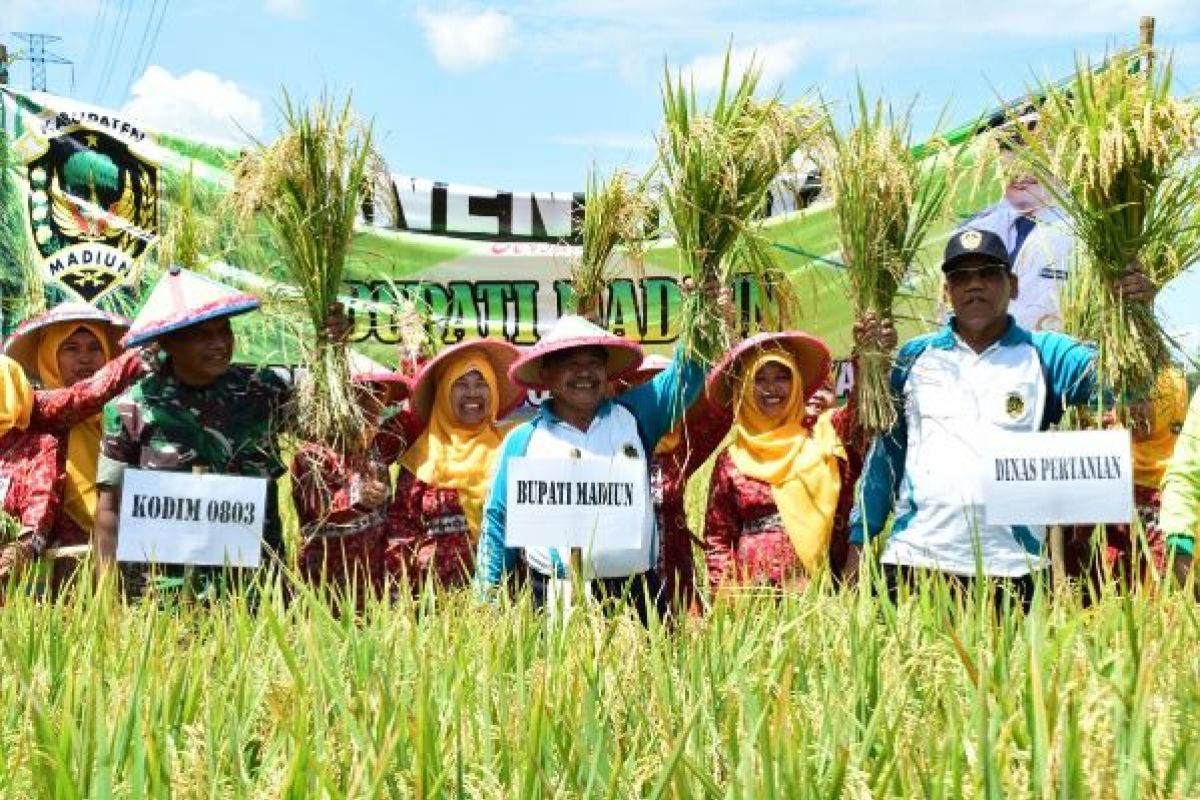 Produksi Padi di Kabupaten Madiun Capai 575.000 Ton