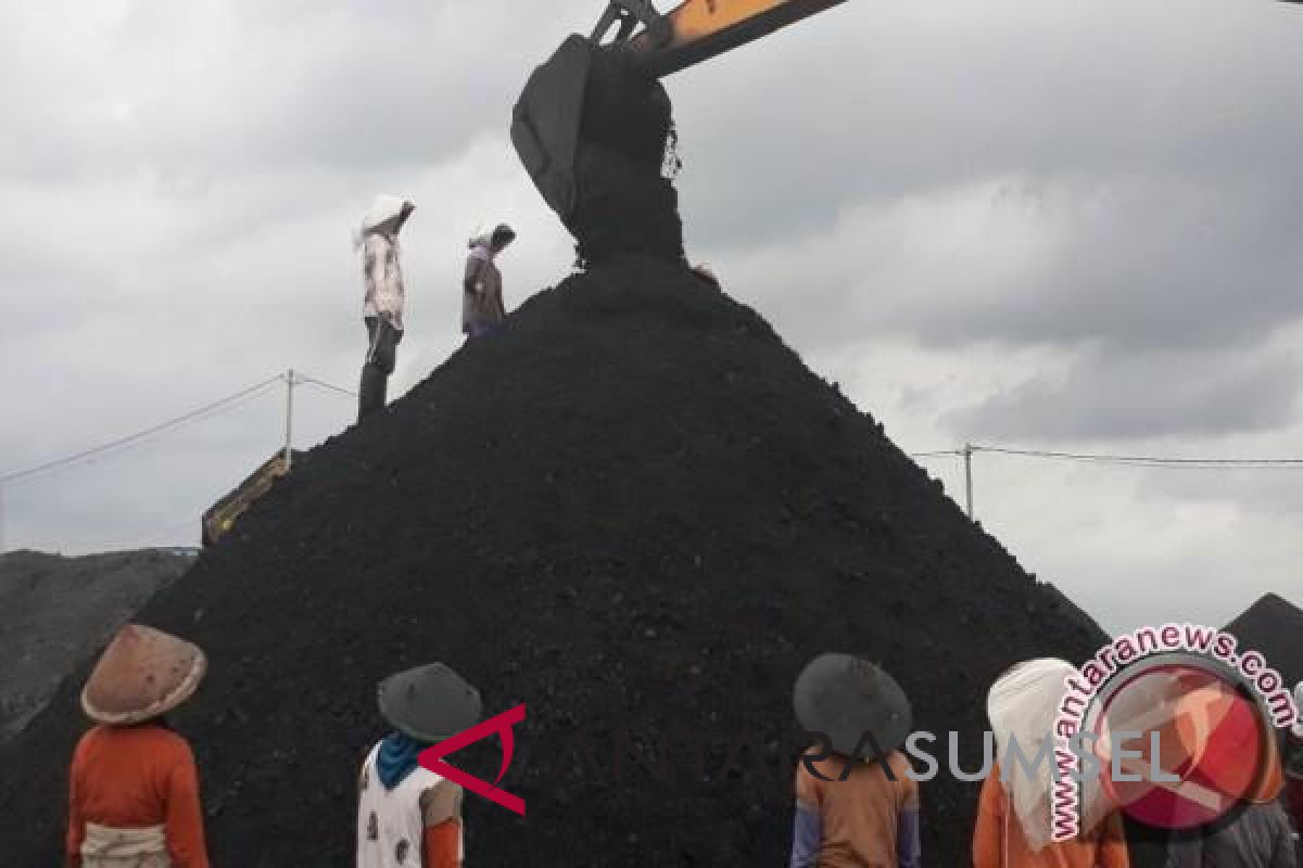 Greenpeace: Penggunaan batubara beresiko bagi kesehatan manusia