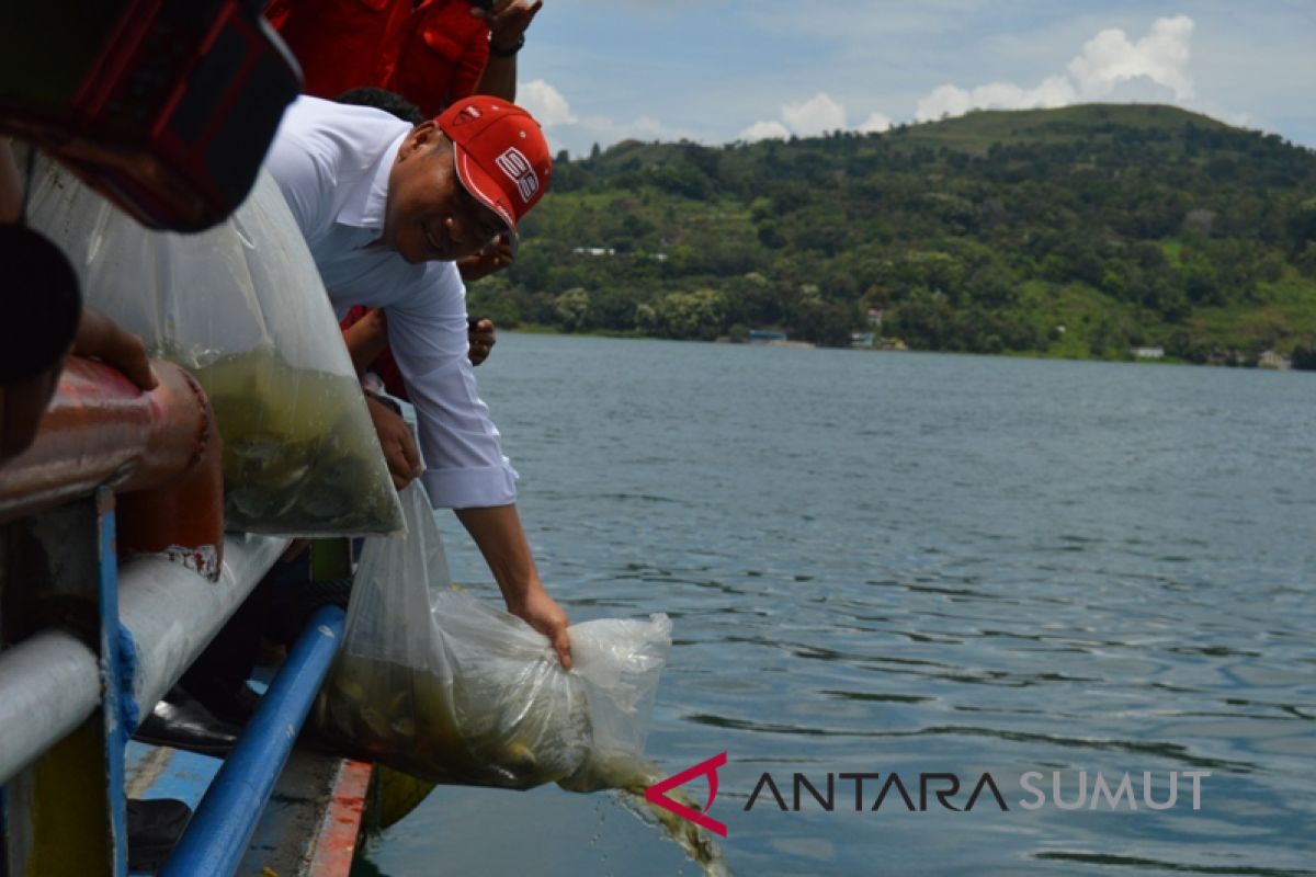 Nikson-Sarlandy tabur 75 ribu Nila di Danau Toba