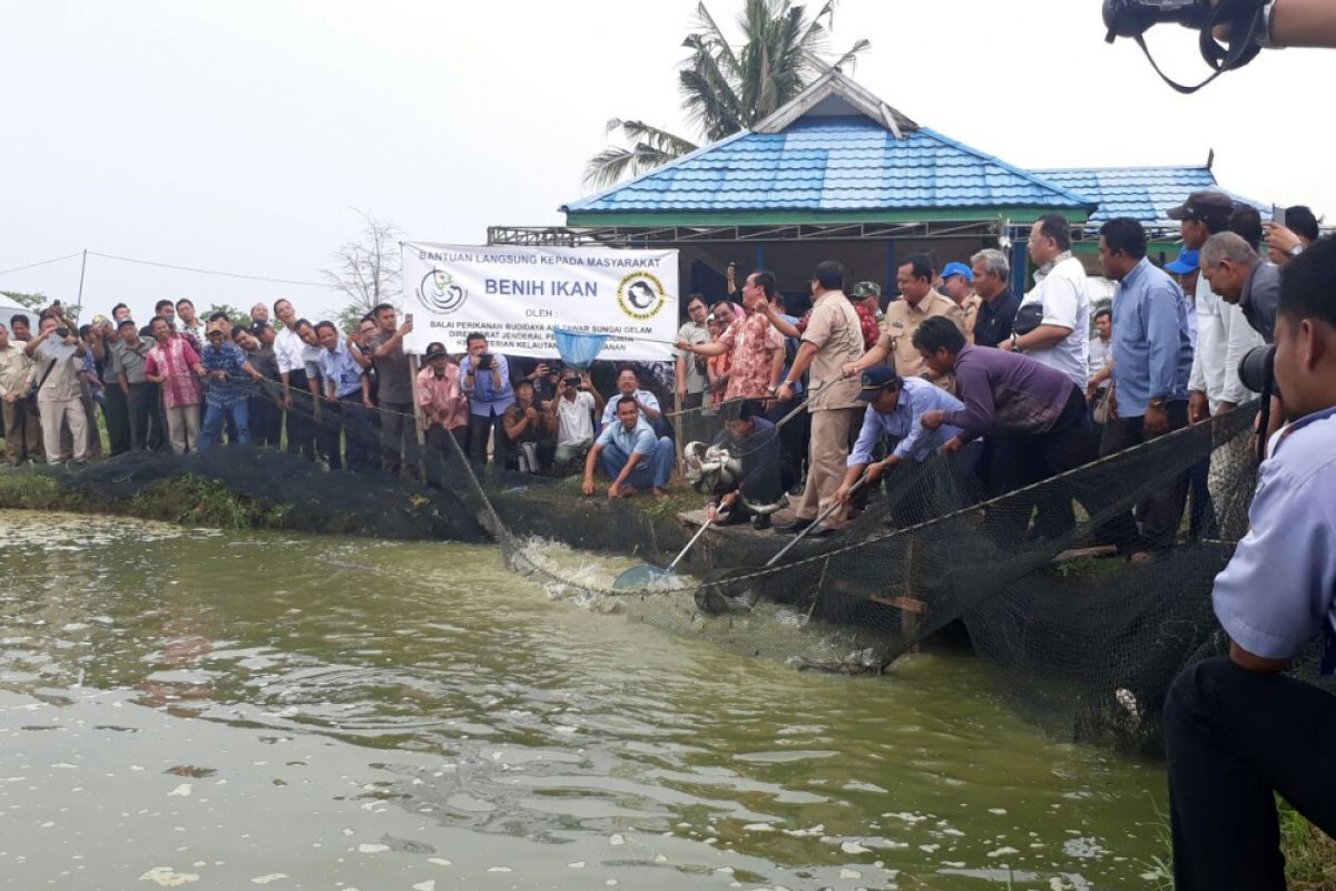 Budidaya perikanan Muarojambi 20 ton per hari