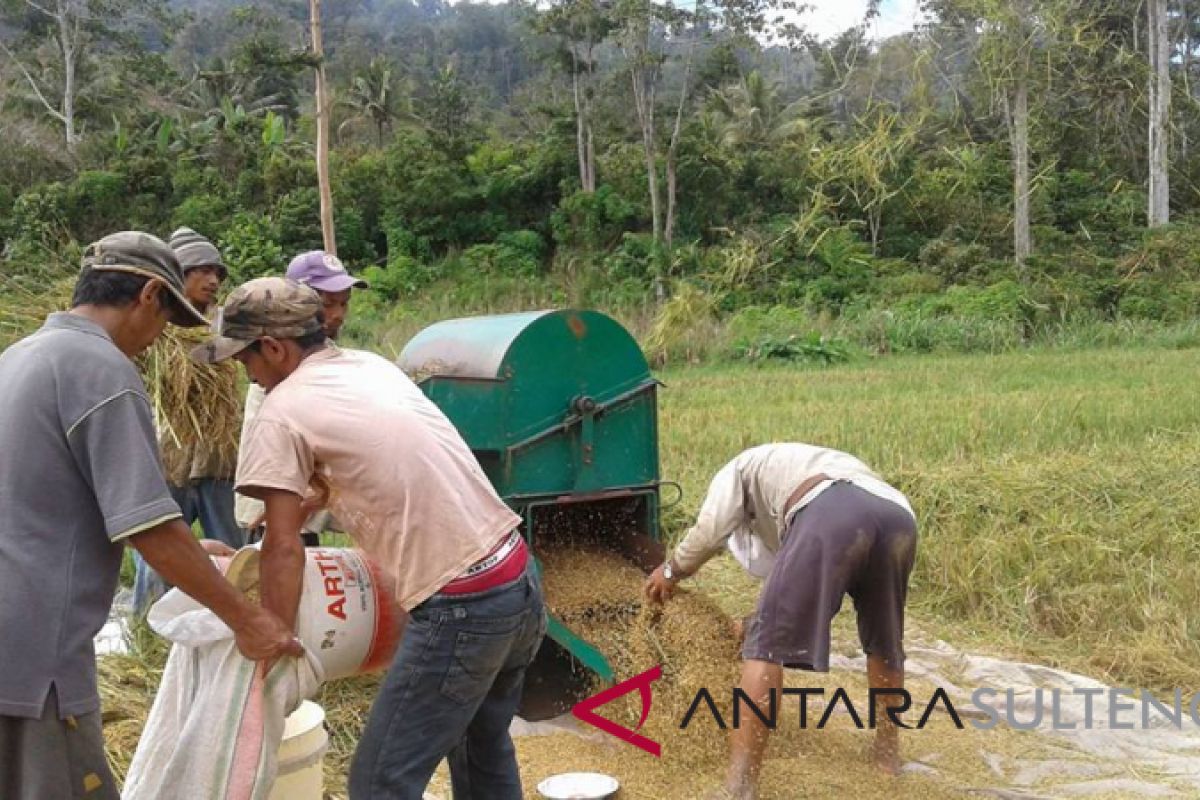 Pemkab Sigi dorong petani tingkatkan produksi pertanian