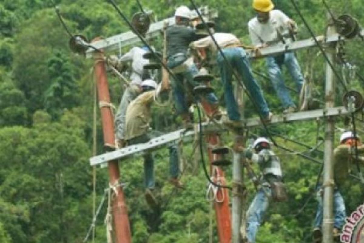 PLN Pekanbaru Akan Perbaiki Listrik Tanpa Ada Pemadaman Arus, Begini Caranya