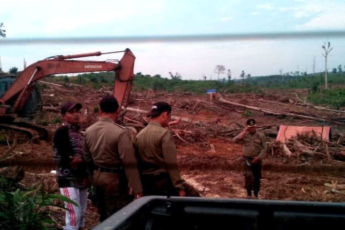 Polhut Jambi amankan terduga perambah Hutan Harapan