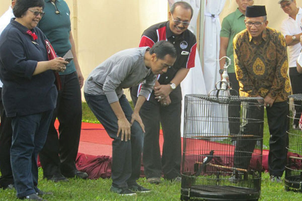 Bergaya kasual, presiden saksikan lomba burung berkicau di Bogor