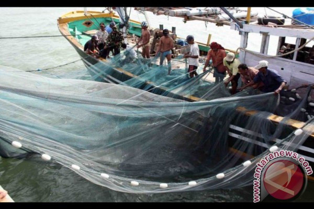 DKP: 137 kapal trawl masi beroperasi di Mukomuko