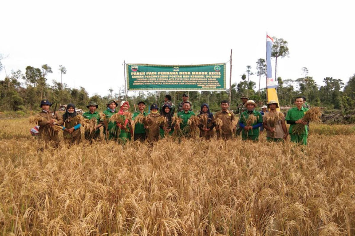 STPP Bogor dampingi panen perdana Kabupaten Lingga