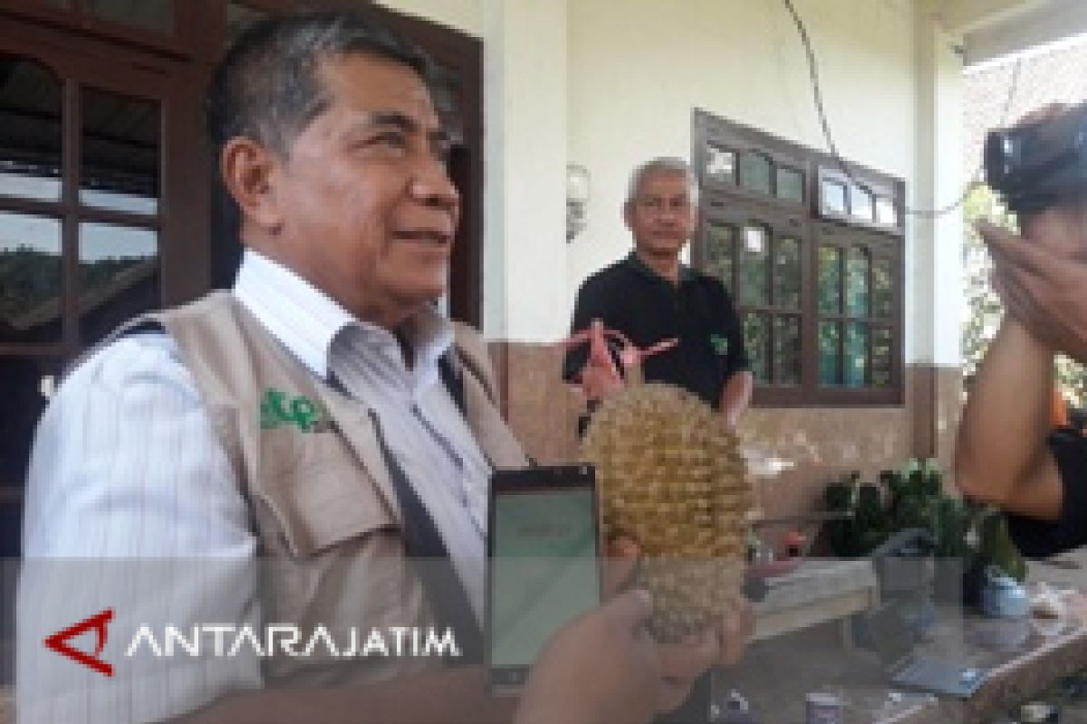 Universitas Brawijaya Kembangkan Durian Unggulan 