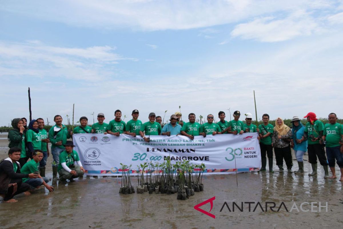 Perusahaan perkebunan reboisasi bakau di Singkil