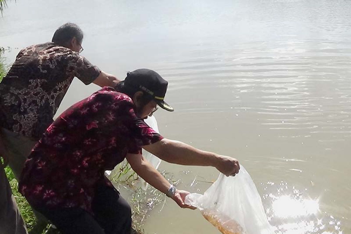 310.000 benih ikan ditebar di Sungai Serayu