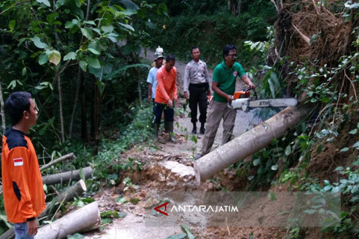 Hujan Deras Menyebabkan Tebing Longsor di Pamekasan