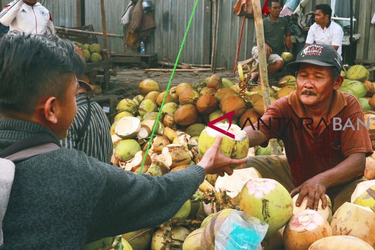 Berjualan Kelapa Muda Demi Keluarga