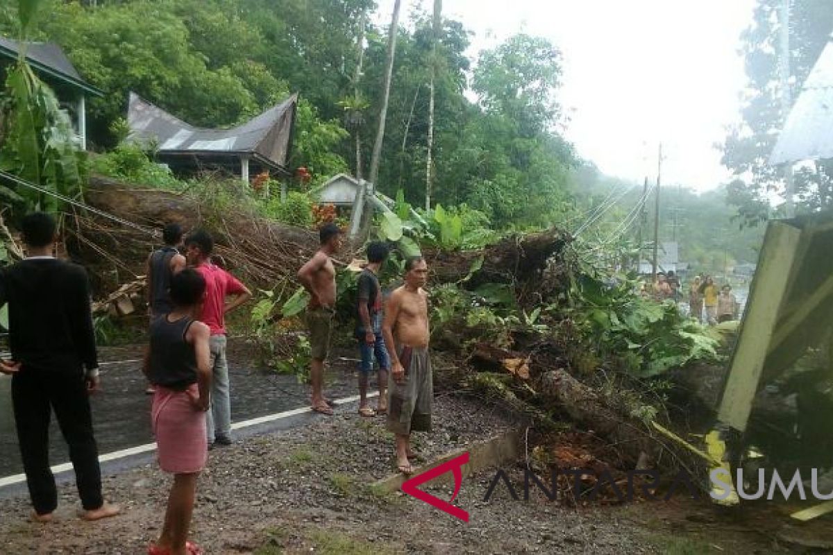 Pohon tumbang timpa rumah warga di Kolang