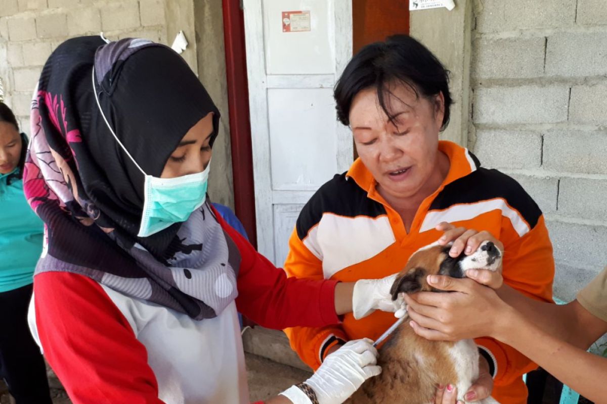 Dinkes Imbau Korban Gigitan Anjing Ditangani Faskes