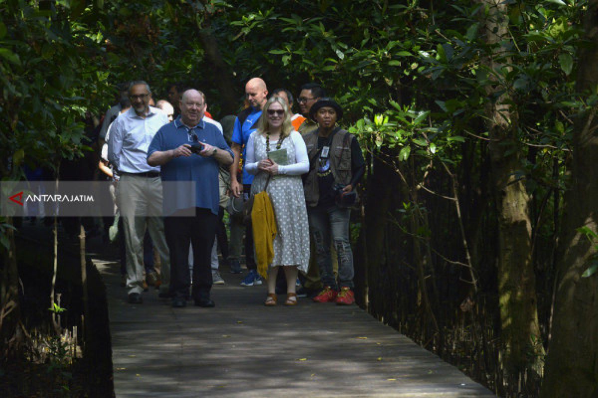 Wali Kota Liverpool Berburu Foto di Wisata Mangrove Surabaya