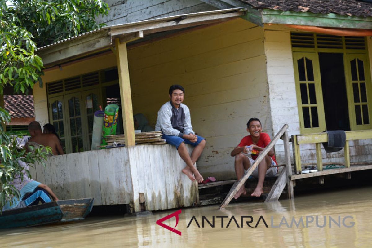 Banjir rendam 8.940 hektare sawah Lampung Timur