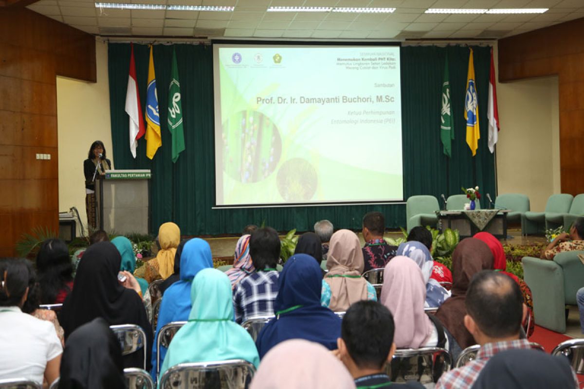 Pakar IPB kendalikan serangan wereng coklat dengan pola tanam serempak